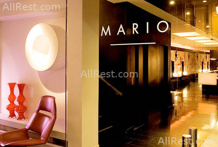 Room Mate Mario 3